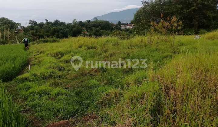 Tanah Kosong di Cimerang Padalarang Tanah Kosong di Cimerang Padalarang
