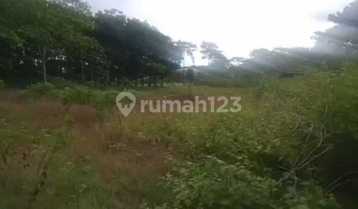 Di Jual Tanah Desa Sindangwangsa, Majalengka. Dekat Pintu Tol Sumber Jaya