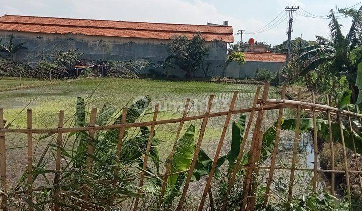 Dijual lahan sawah produktif di Cinunuk - Cileunyi (posisi menempel dengan rumah)  2