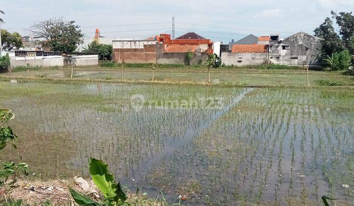 Dijual lahan sawah produktif di Cinunuk - Cileunyi (posisi menempel dengan rumah)  1