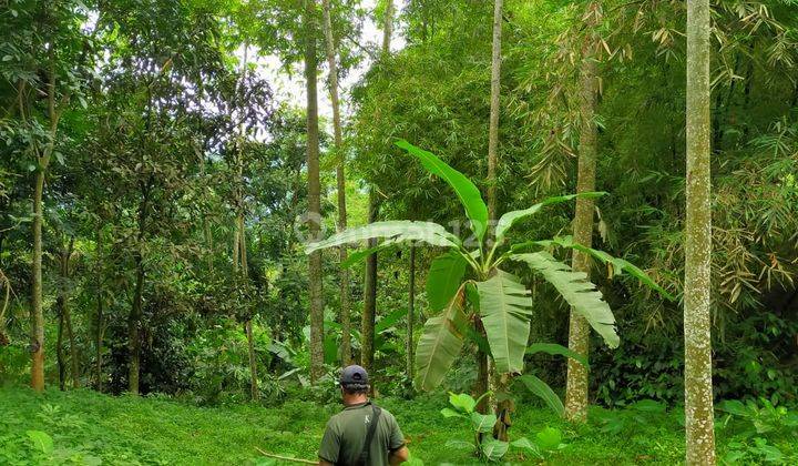 Tanah Sudah Ada Rumah Semi Permanenkampung Babakan Ngantay, Desa Tegalwaru, Kecamatan Cisarua, Kab. 2