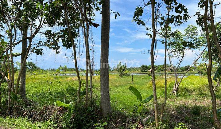 Beach Side Land in the Pangkung Tibah Area Near Potatto Head Villa 2