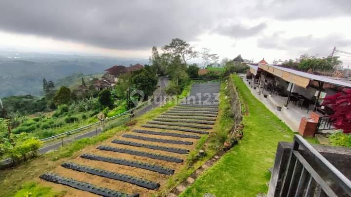 Restaurant di Baturiti Dekat Bedugul Tabanan Bali 2