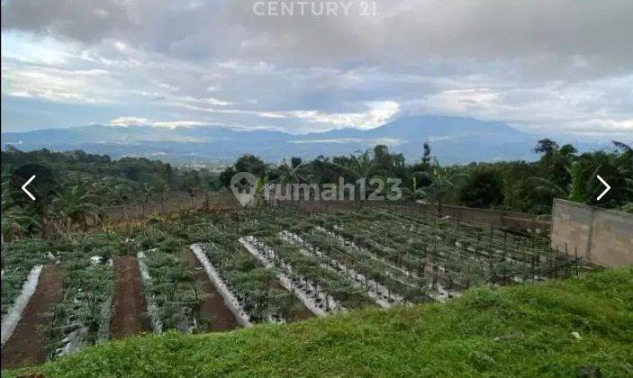 Dijual Tanah Di Geger Bitung Cijeruk Bogor Luas 1855m 2