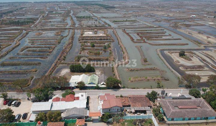 Tanah sawah luhur serang 2