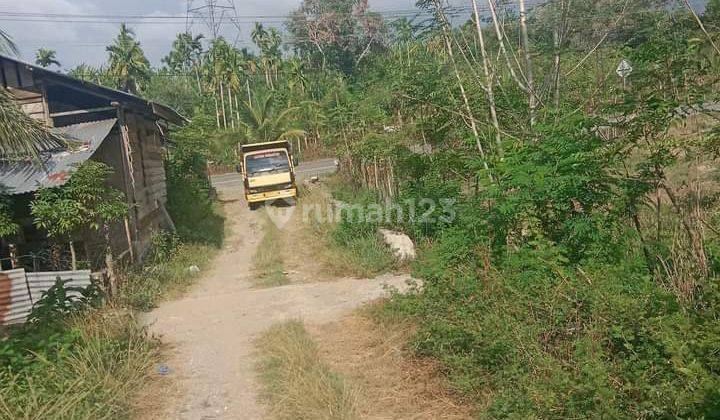 jual tanah kebun untuk investasi 10000 2