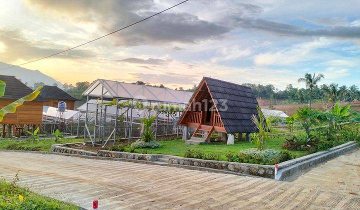 Tanah Kavling Wisata Harmoni Farm House Bogor Luas 279 M² 2