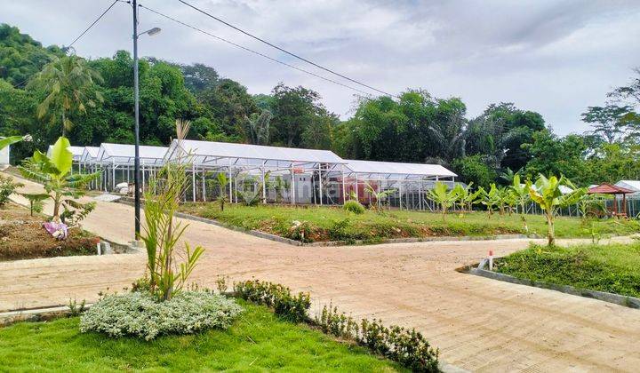 Jual Tanah Kavling Best Seller Di Bogor - Harmoni Farm House  2