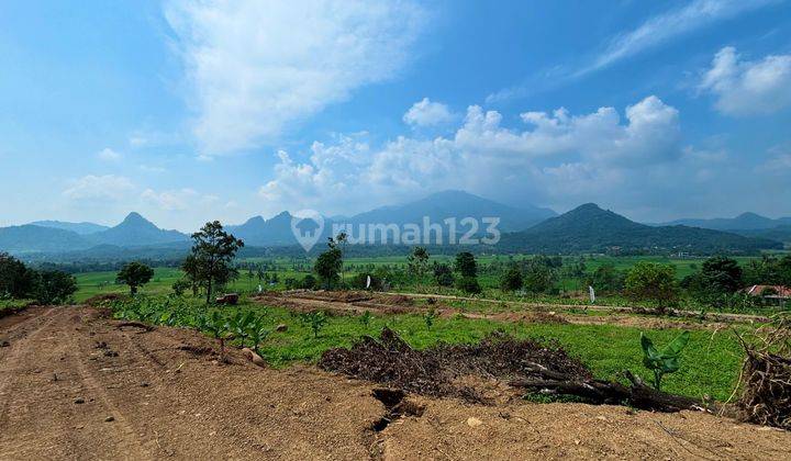 Tanah Kavling Eksklusif Nuansa Alam Golden View | 500 M² 2