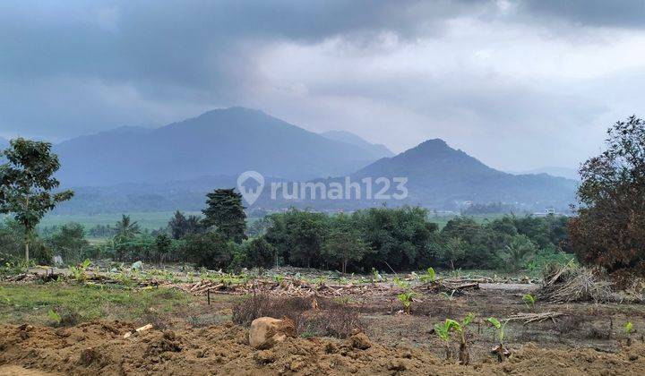 Tanah Kavling Terbaik di Bogor | Nuansa Alam Golden View  2