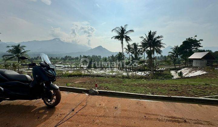 Tanah Strategis Pinggir Jalan Raya Provinsi | Luas 901 M²  2