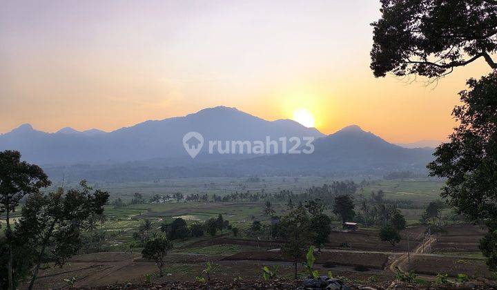 Tanah Pinggir Jalan Raya Provinsi | Nuansa Alam Golden View  2