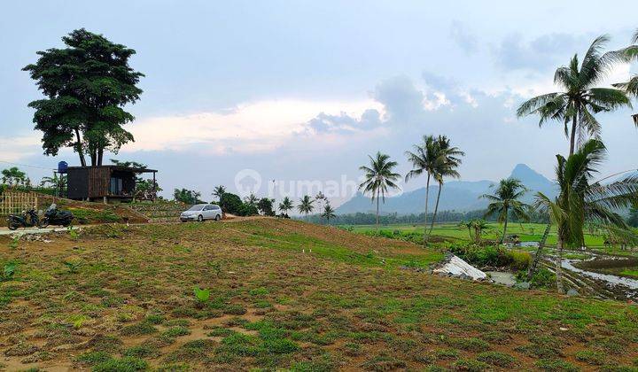 Tanah Murah Pinggir Jalan Raya Provinsi Bogor | Luas 363 M²  1