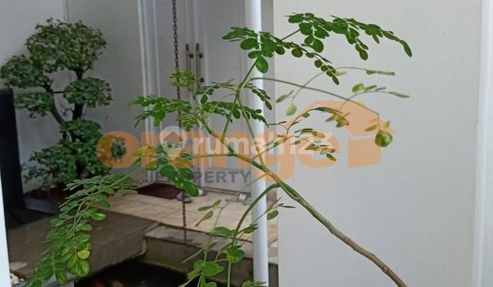 Di Jual Rumah Modern Minimalis Ada Kolam Renang di Jagakarsa 2