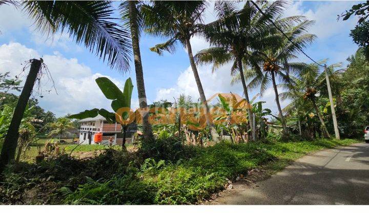 Dijual cepat  Tanah ubud gianyar Bali ,pinggir jalan  1