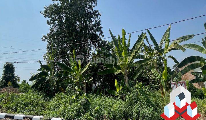 Tanah Harga Dibawah Pasaran Shm Butuh Uang 2