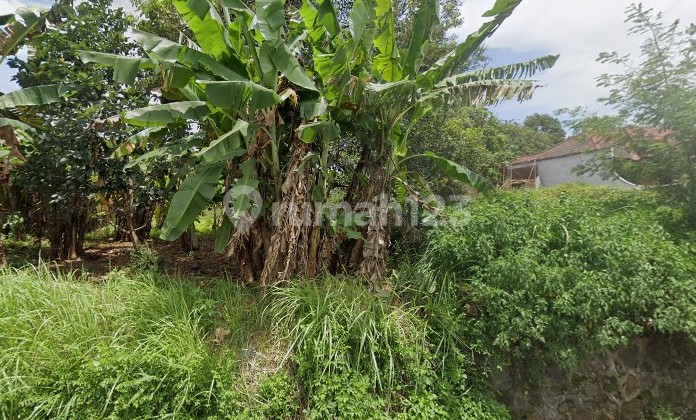 Tanah Bagus Kawasan Usaha Kost Dekat Kampus Unnes Semarang 2