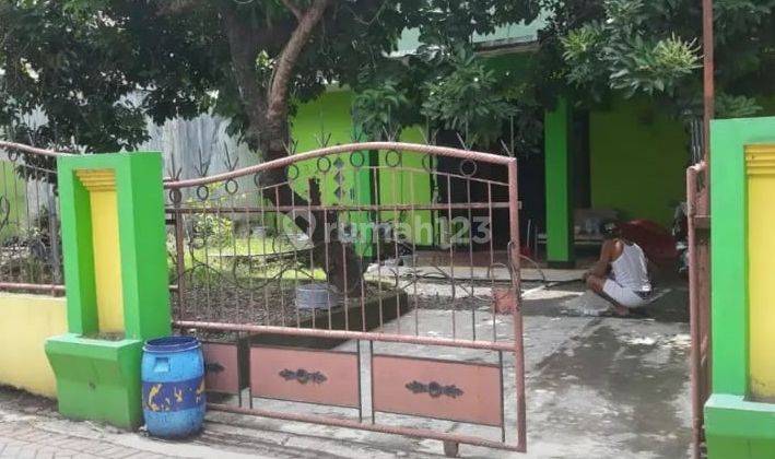 Kampus Undip Tembalang Semarang Rumah Kost Aktif  1