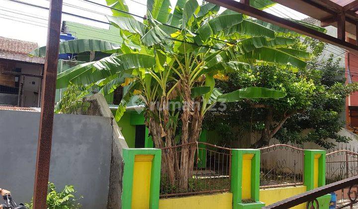 Kampus Undip Tembalang Semarang Rumah Kost Aktif  2