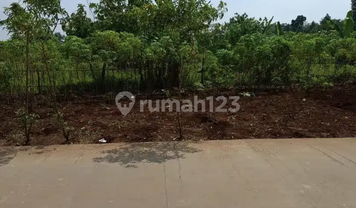 Tanah Bulusan Kramas Mulawarman Jual Cepat Dekat Undip 1