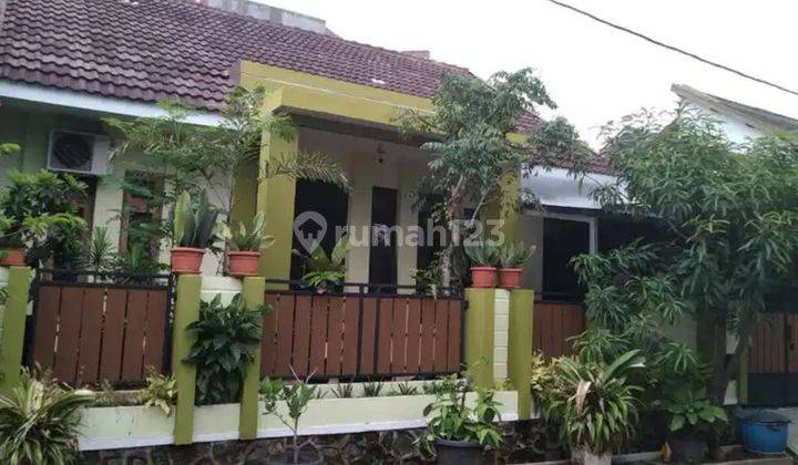 Rumah Dekat Kampus Undip Tembalang Semarang 1