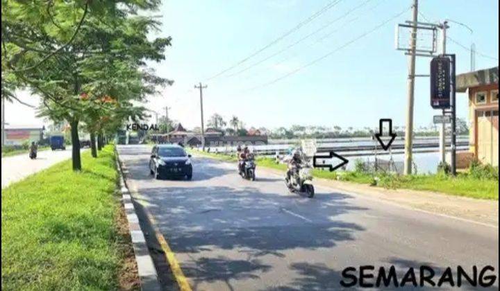 Tanah Kawasan Industri Jalan Raya Pantura Semarang Kendal  2