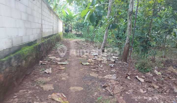 Sebidang Tanah Lahan untuk Perumahan di Mijen 2