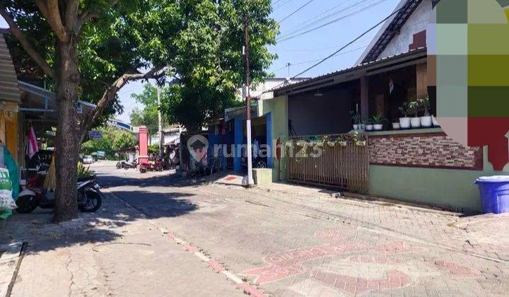 Rumah Di Pamularsih Semarang Barat Bonus Usaha Kost 1