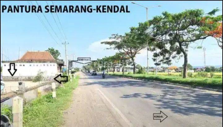 Tanah Kawasan Industri Jalan Raya Pantura Semarang Kendal  1