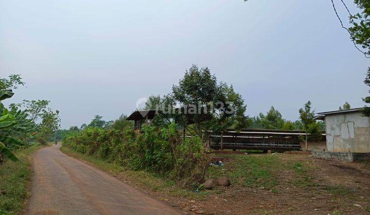 Tanah Bagus Di Kelurahan Juragan Kab Batang Jawa Tengah 2