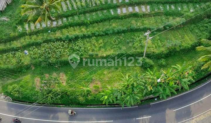 Tanah SHM Pinggir Jalan Cocok untuk Tempat Usaha di Kab Semarang 2