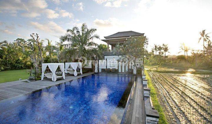 Good Deal Villa Unique Location View of Rice Fields Rarely Available in Kesiman Bali 2