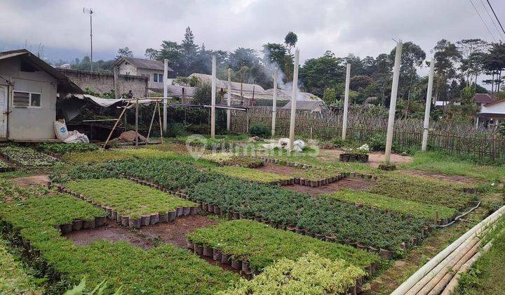 Tanah Kavling Lingkungan Sejuk Sersan Bajuri Bandung Utara 1