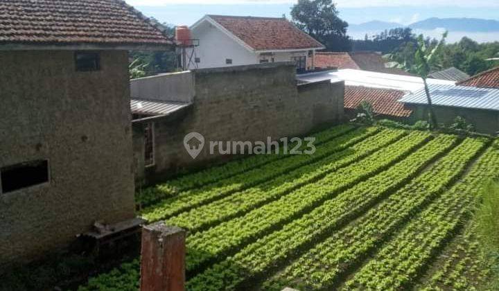 Tanah Produktif Akses Motor Cisarua Kolmas Dekat Dusun Bambu 1