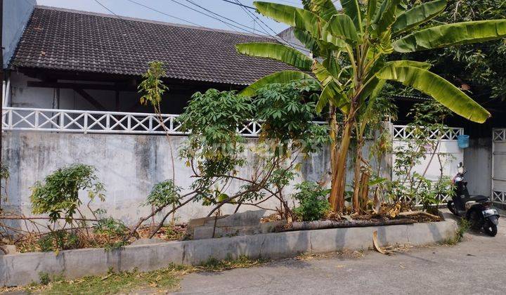 Jual Rumah tua Hitung tanah daerah Sunter 1