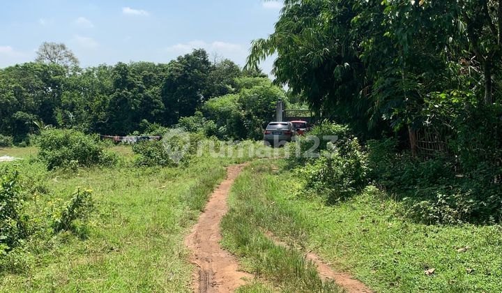 Dijual Tanah Cikeusal Serang Banten 1