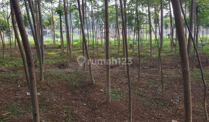 Tanah Perkebunan Super Hoki Siap Bangun Harga Murah, Paling Murah Lokasi Strategis di Gunung Sindur, Bogor, Jawa Barat 2