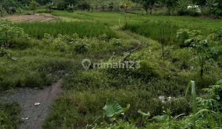 Tanah Kavling 11.803m2 SHM Siap Bangun Siap Pakai Harga Murah di Cikande, Serang, Banten 1