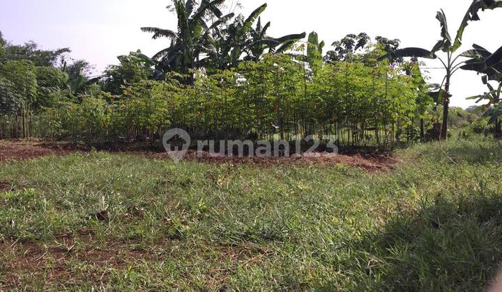 FOR SALE MULTIFUNCTIONAL PLOT JAGABAYA, PARUNG PANJANG - BOGOR FOR SALE MULTIFUNCTIONAL PLOT JAGABAYA, PARUNG PANJANG - BOGOR