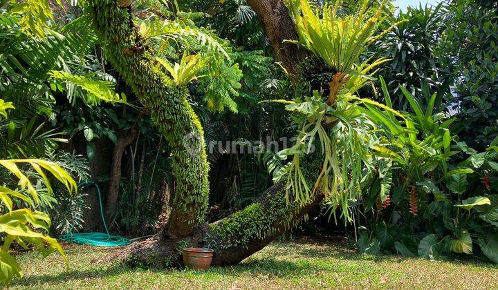 Rumah Mewah Sangat Asri Tenang Dan Nyaman Di Jl Bangka Jaksel 2