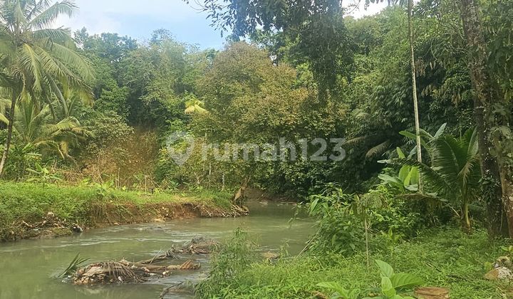 KAVLING COCOK UNTUK TEMPAT WISATA, HOTEL,PERKEBUNAN DI PANDEGLANG 2