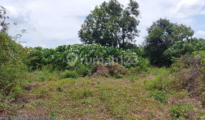 Land for Sale Near Gajah Tunggal Area, Jatiuwung Tangerang Land for Sale Near Gajah Tunggal Area, Jatiuwung Tangerang