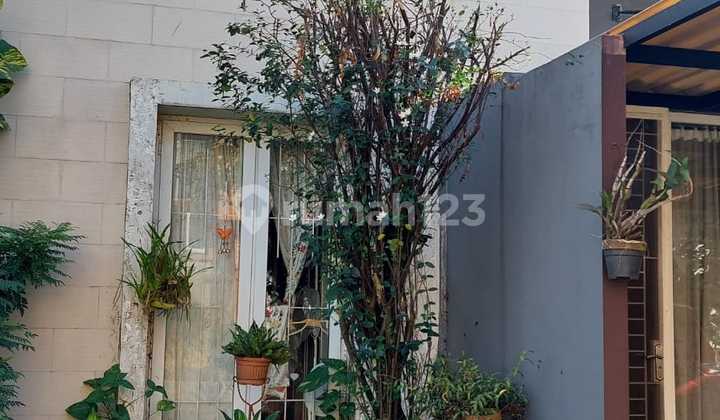 Rumah Cantik di Paragon Residence (Komplek Tetangga Nusaloka Bsd) Rumah Cantik di Paragon Residence (Komplek Tetangga Nusaloka Bsd)