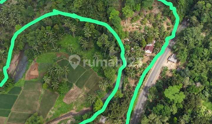 KAVLING COCOK UNTUK TEMPAT WISATA, HOTEL,PERKEBUNAN DI PANDEGLANG 1