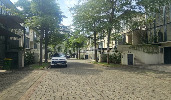 NAVA PARK BSD RUMAH SULTAN RENOVATED SIAP HUNI TINGGAL BAWA KOPER 2