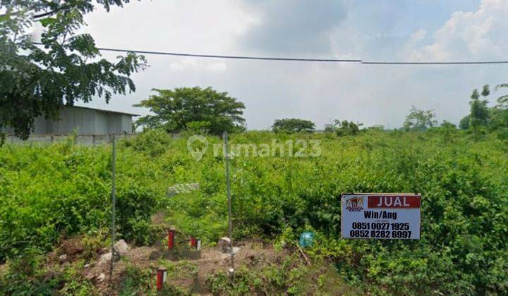 Tanah di Mrutuk Utara Widang Tuban, Tuban SHM 10.000 m² 2