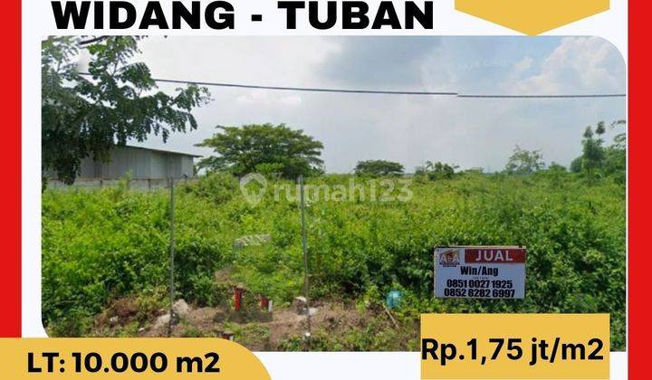 Tanah di Mrutuk Utara Widang Tuban, Tuban SHM 10.000 m² 1