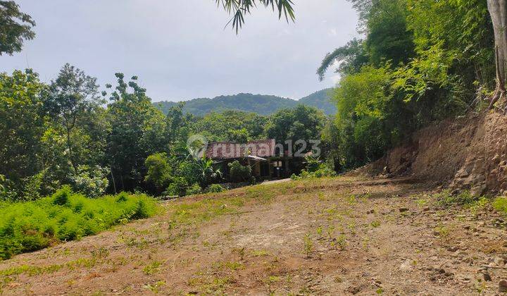 Tanah Murah Jogja Dekat Pasar Pleret, Luasan 100m an Shmp 1