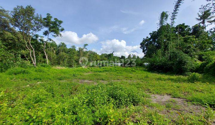 Tanah Jogja Utara, Jalan Kaliurang Siap Bangun View Sawah  2