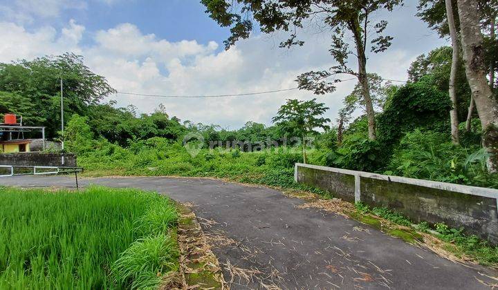 Tanah Jogja Dekat Jalan Tajem Akses Mudah Aspal Shmp 2